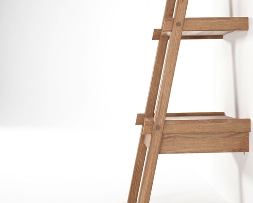 Karpenter - Simplycity Ladder Desk | Soul & Tables