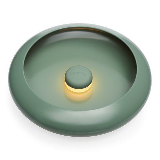 Oloha Medium Bowl with Lamp