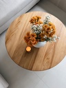 Soul_Tables_Circus_Teak_ Coffee_Table.jpeg